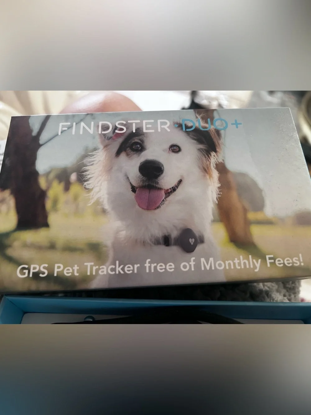 Duo+ GPS Pet Tracker Collar - Black